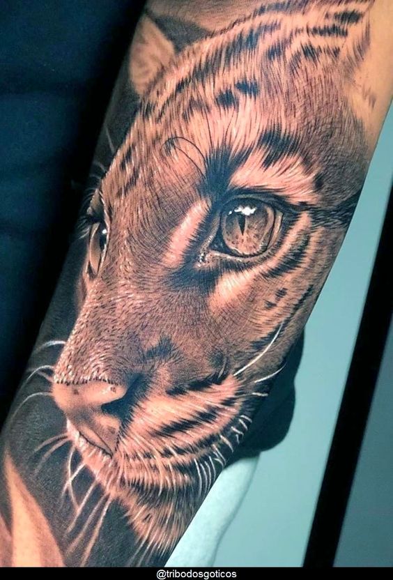 The majestic lord of the forest comes to life thanks to the skillful hands of the tattoo artist – The Daily Worlds