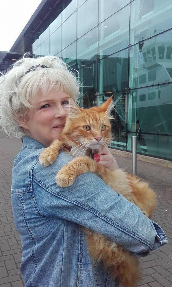 A small town in Scotland suddenly became crowded with tourists thanks to stray cats