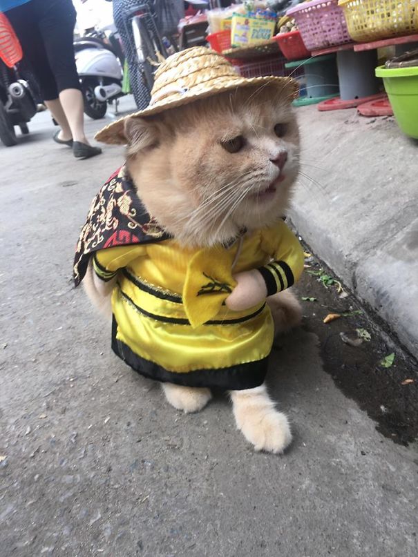 Meet The Cutest Fish Vendor In Vietnam Who Is Taking The Internet By Storm With His Adorable Pics