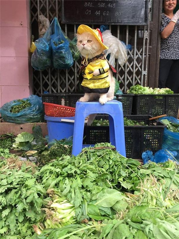 Meet The Cutest Fish Vendor In Vietnam Who Is Taking The Internet By Storm With His Adorable Pics