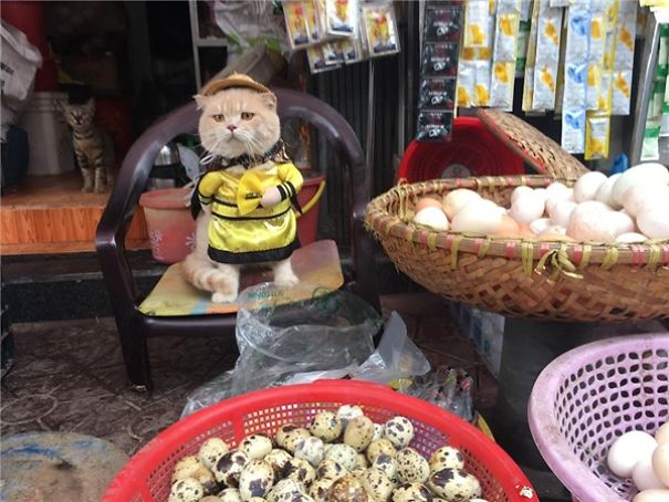 Meet The Cutest Fish Vendor In Vietnam Who Is Taking The Internet By Storm With His Adorable Pics