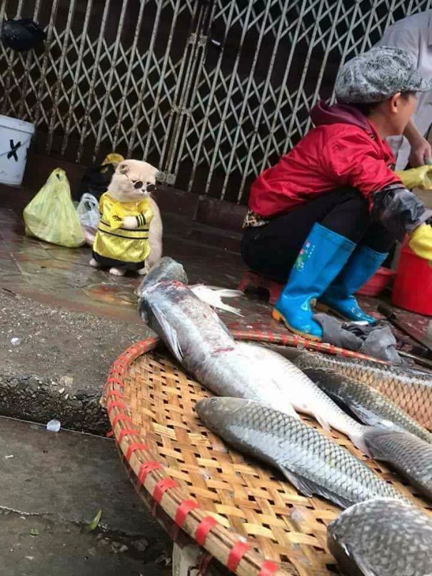 Meet The Cutest Fish Vendor In Vietnam Who Is Taking The Internet By Storm With His Adorable Pics