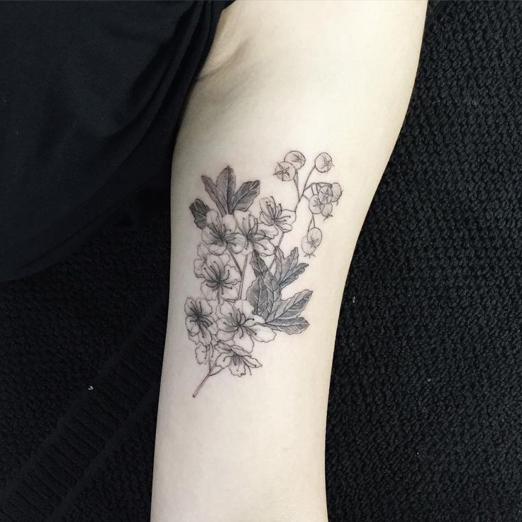 hawthorn flowers #hawthornflowers #flowertattoo #linetattoo #blacktattoo… |  Flower tattoo meanings, Tattoos, Picture tattoos