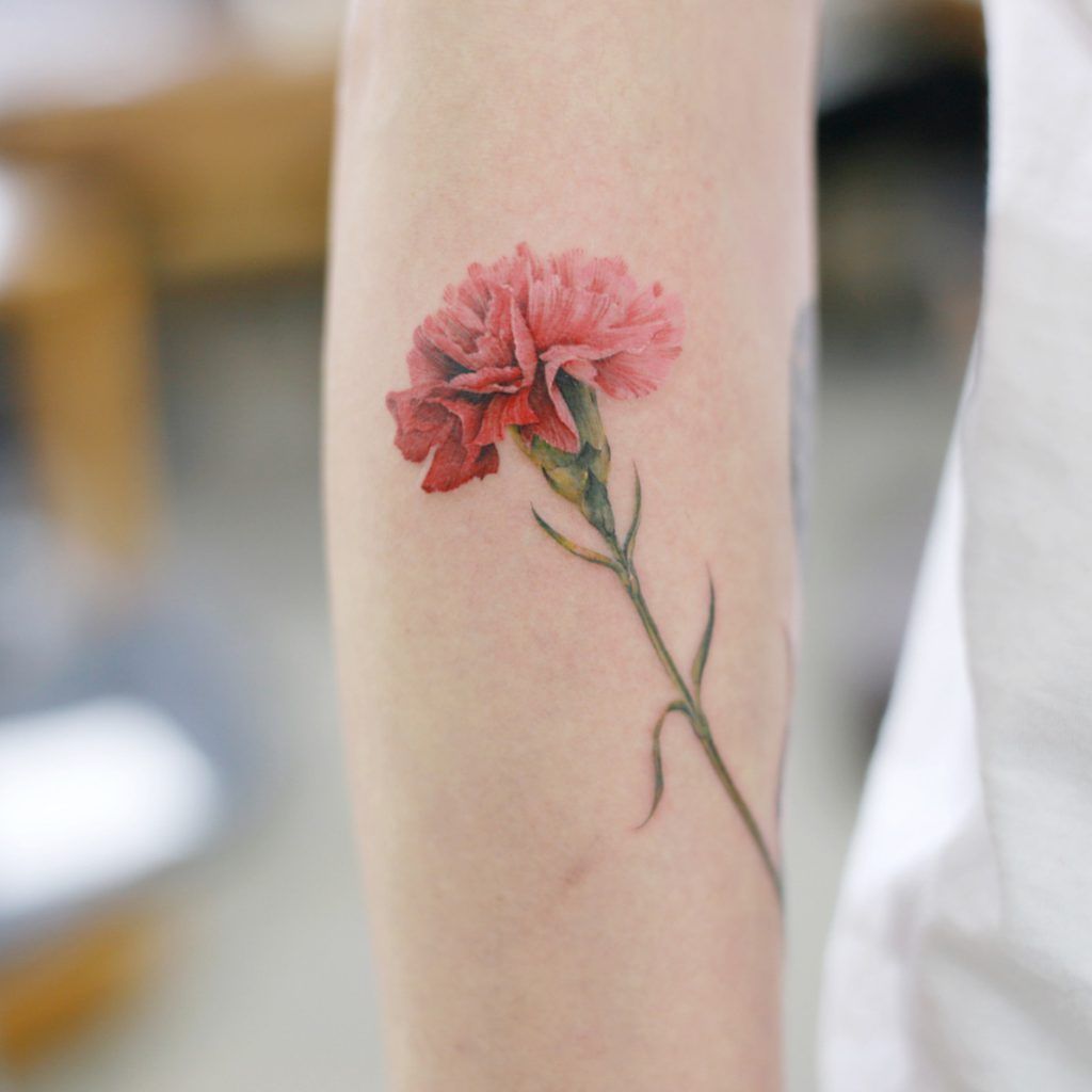 Carnation Tattoo Tumblr