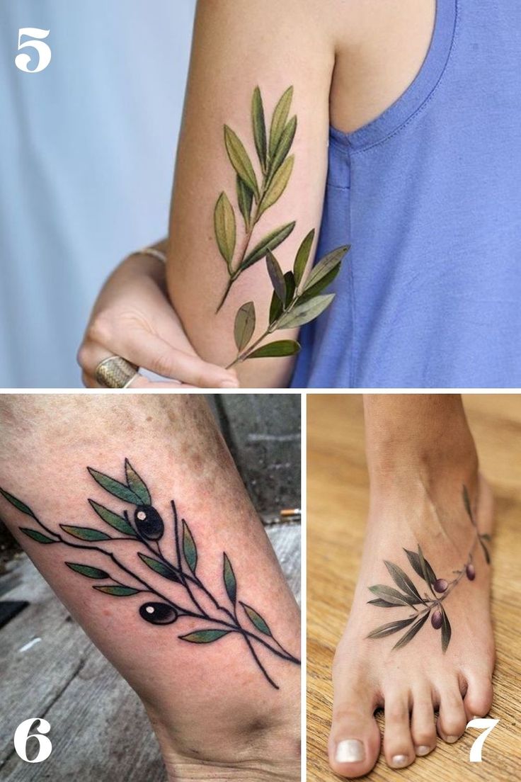 25 Meaningful Olive Branch Tattoo Ideas + Designs - Tattoo Glee | Olive  branch tattoo, Olive tattoo, Palm tattoos