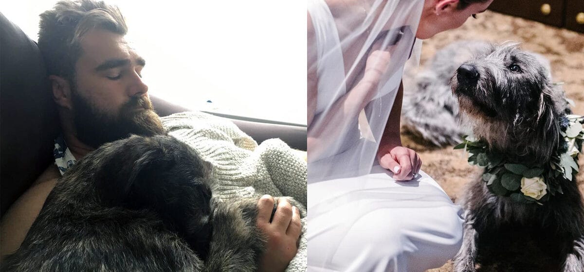 Jason Kelce, wife Kylie mourn the death of their beloved dog Winnie: "I  lost part of my soul today"