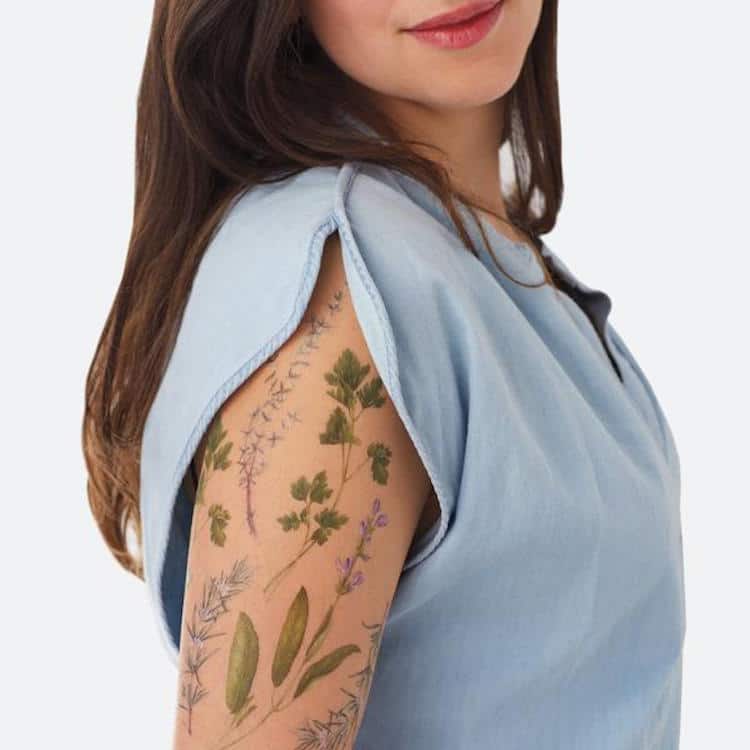 herb-scented temporary tattoos vincent jeannerot tattly herb tattoos scented tattoos